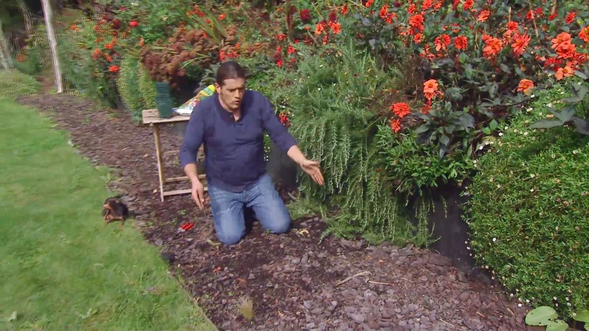 Decogarden 668 ventajas corteza pino detalle