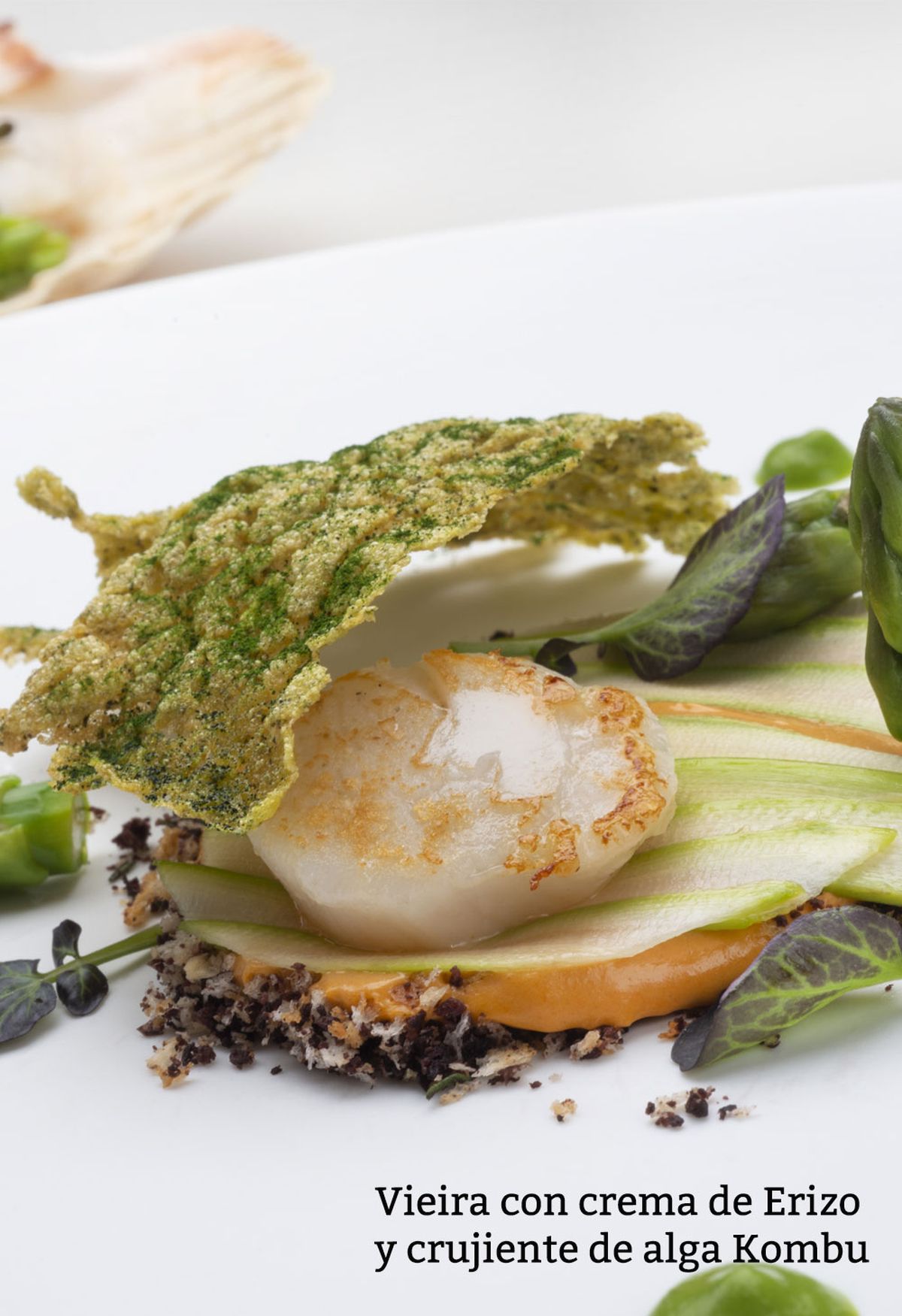 vieira crema erizo v