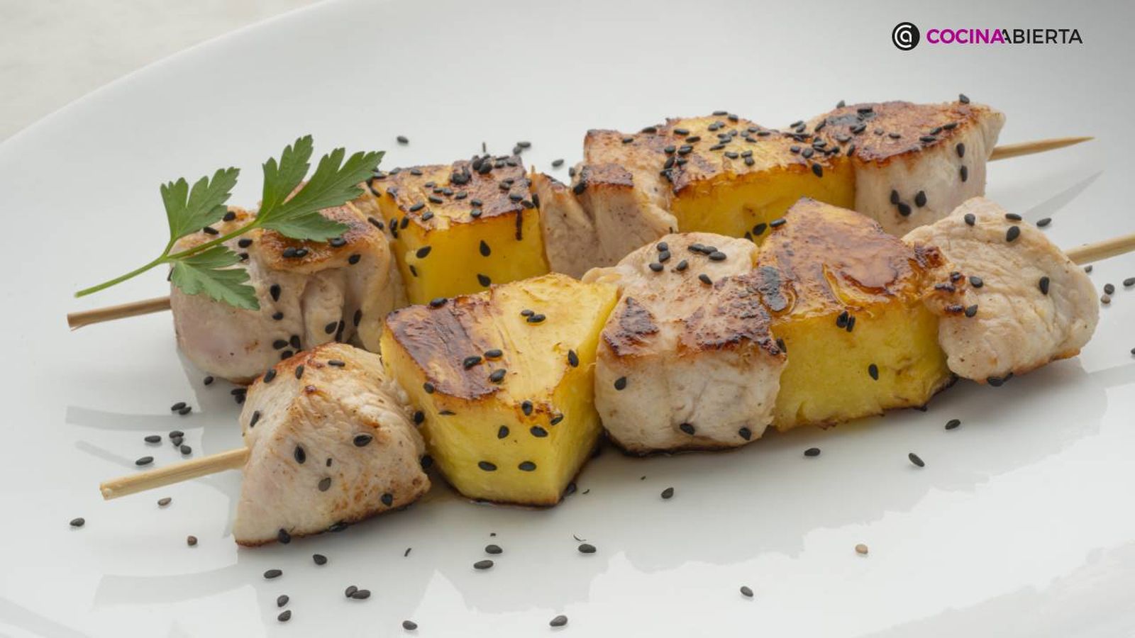 karl7019 brochetas pavo xl