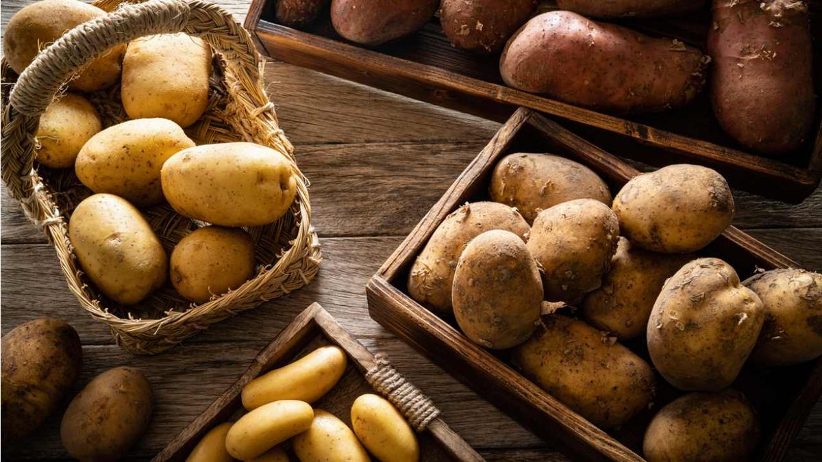 Consulta esta guía para saber qué tipo de patata necesitas para cada elaboración