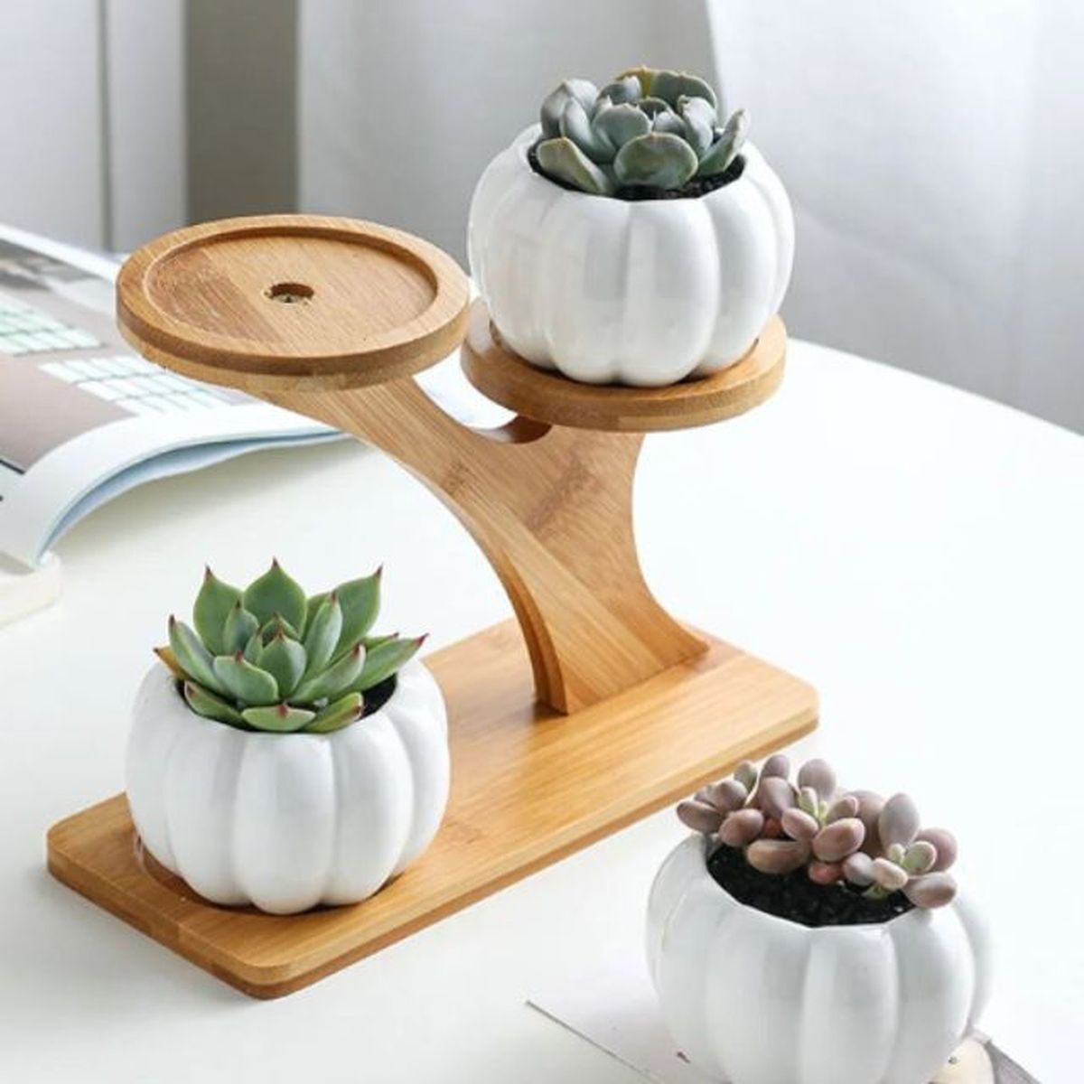 juego de macetas forma de calabaza