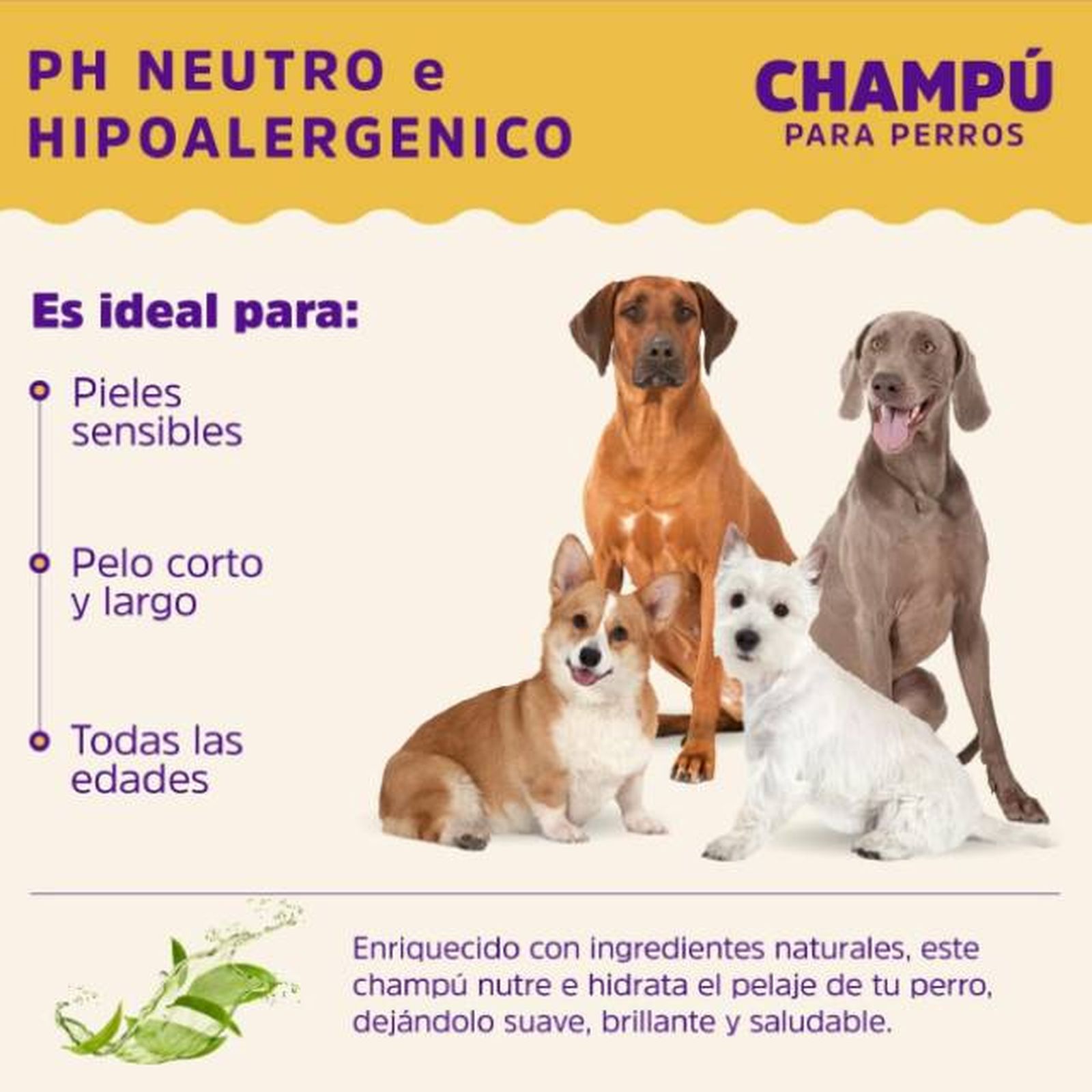 champu repente para perros PH neutro hipoalergenico