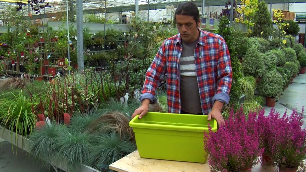 deco jardin 507 composiciones florales jardinera verde