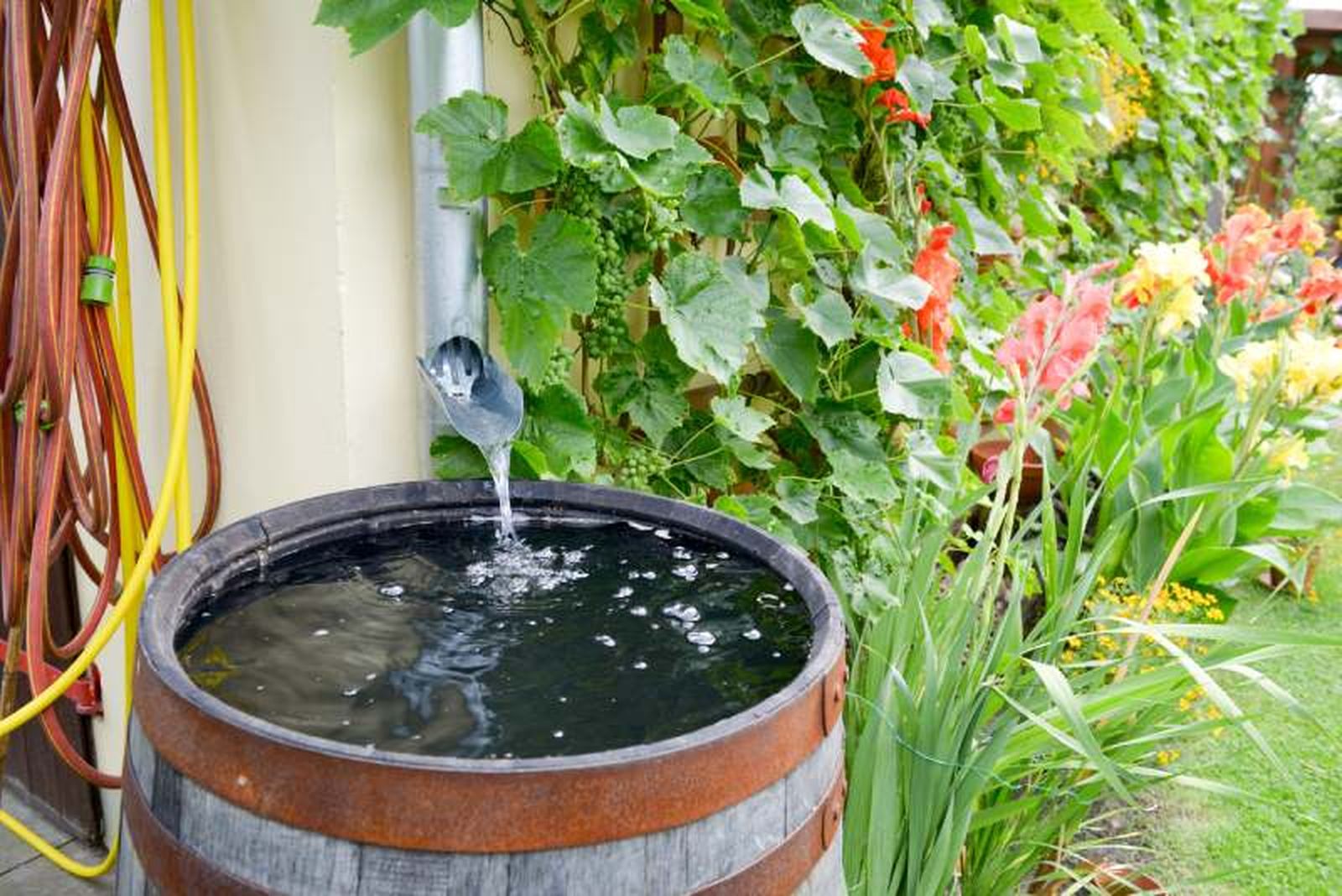 El uso responsable del agua en el jardín será un imprescindible este 2025