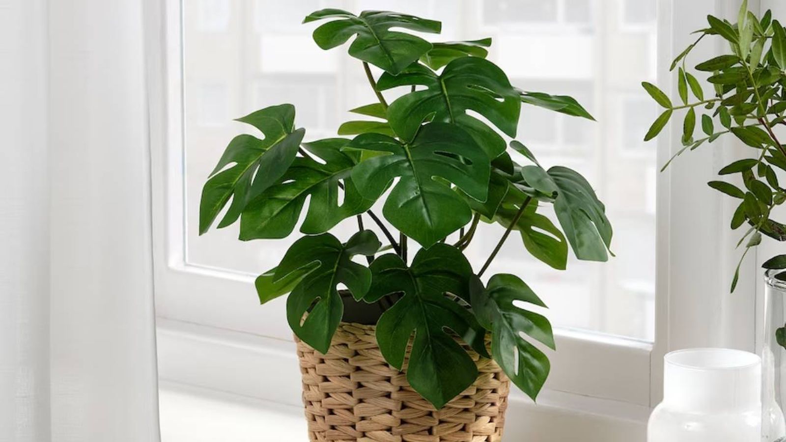 plantas artificiales ikea