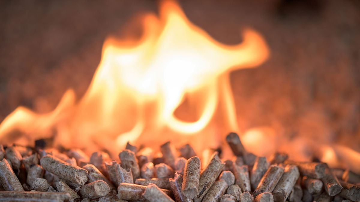 Qué son los pellets y las ventajas e inconvenientes de este combustible ecológico