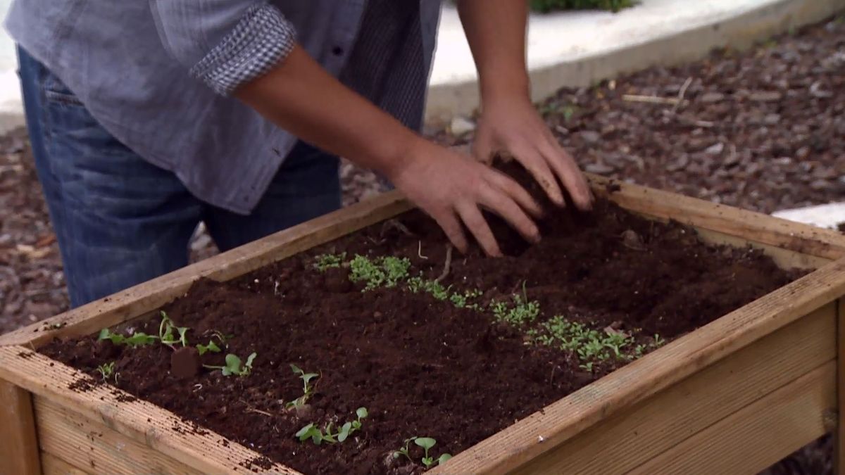 deco 0655 jardineria huerto urbano ecologico mesas plantacion paso 2