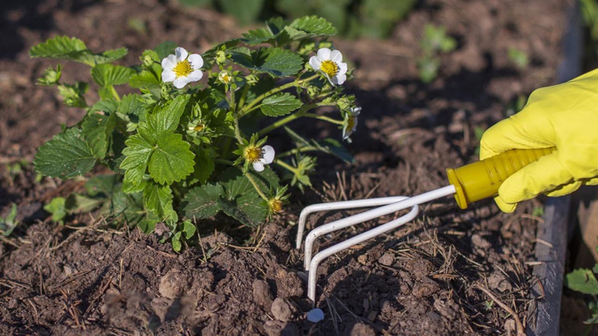 herramientas jardineria hogar escarificador