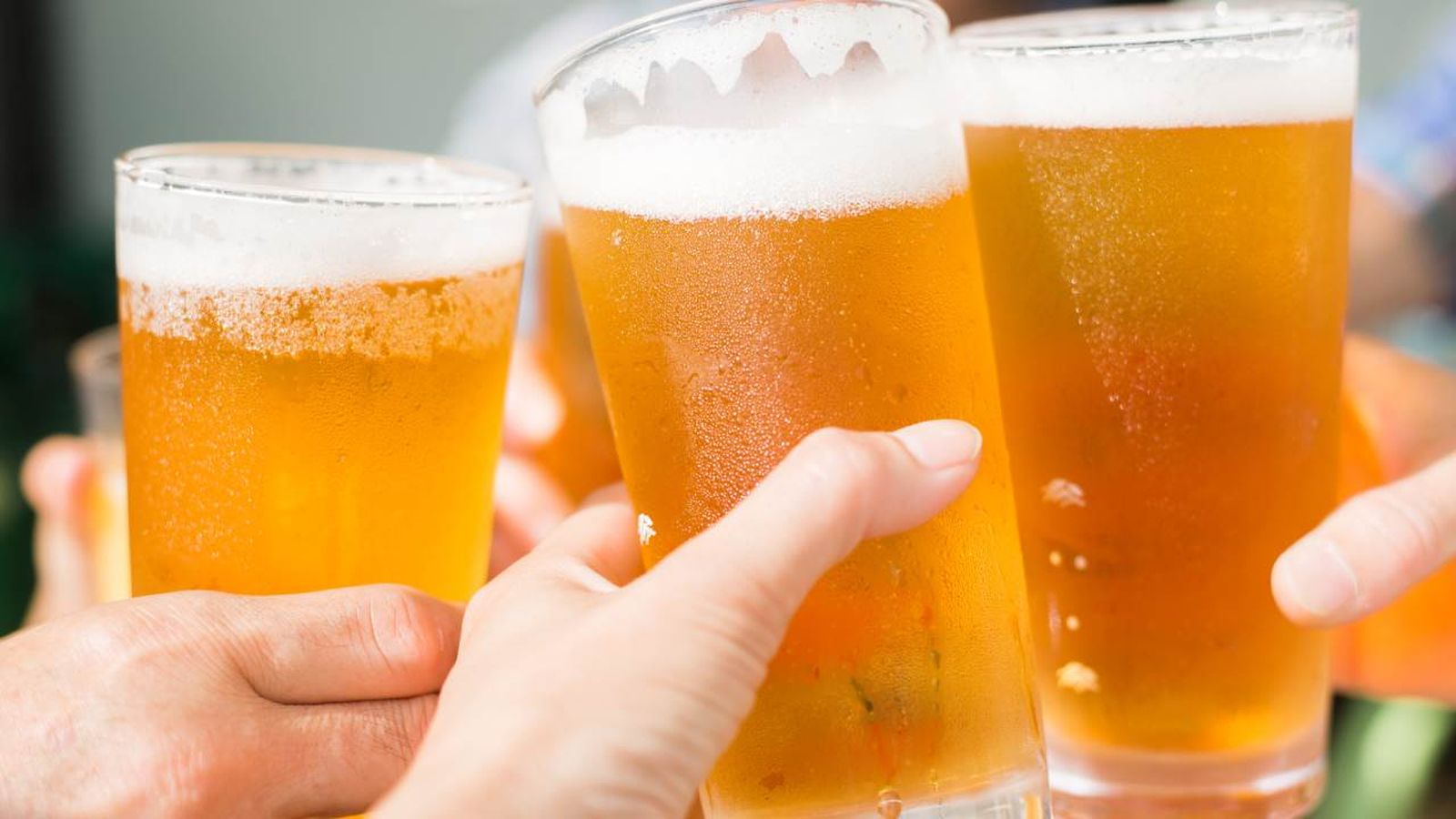 cerveza engorda