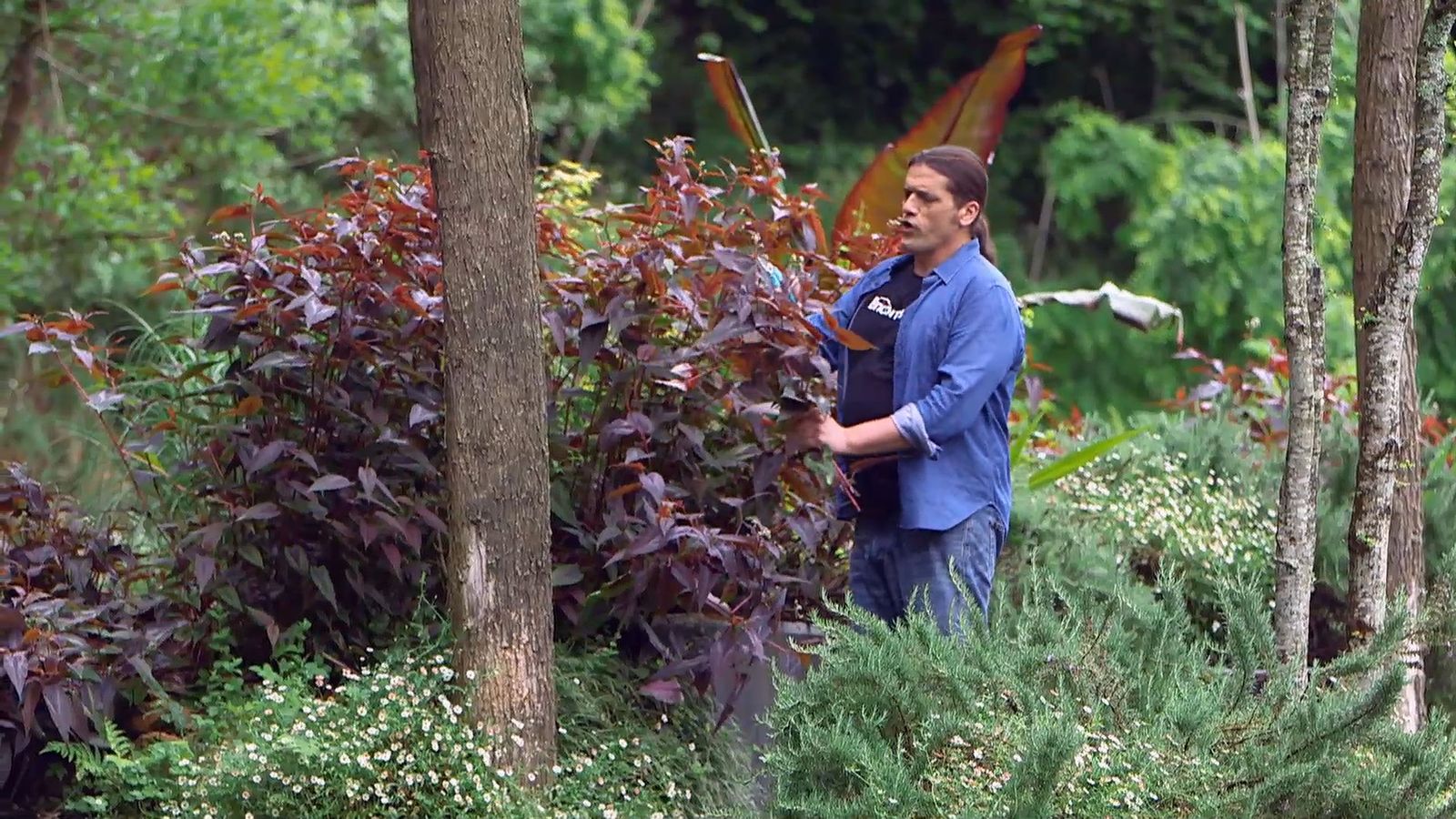 brico 0960 3 persicaria xl