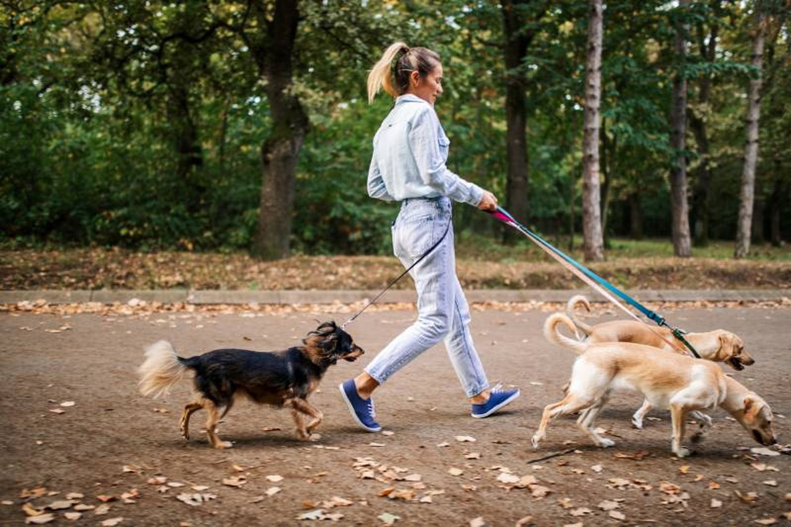 Los animales más jóvenes y pequeños tienen un metabolismo más rápido.