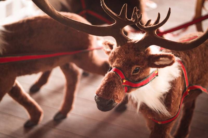 9 renos ayudaban a Santa Claus la noche del 24 de diciembre.