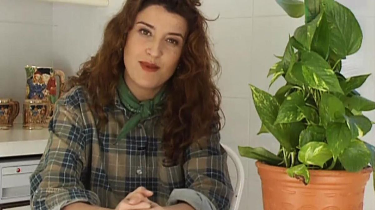 brico 031 construir tutor guia para las plantas paso 8