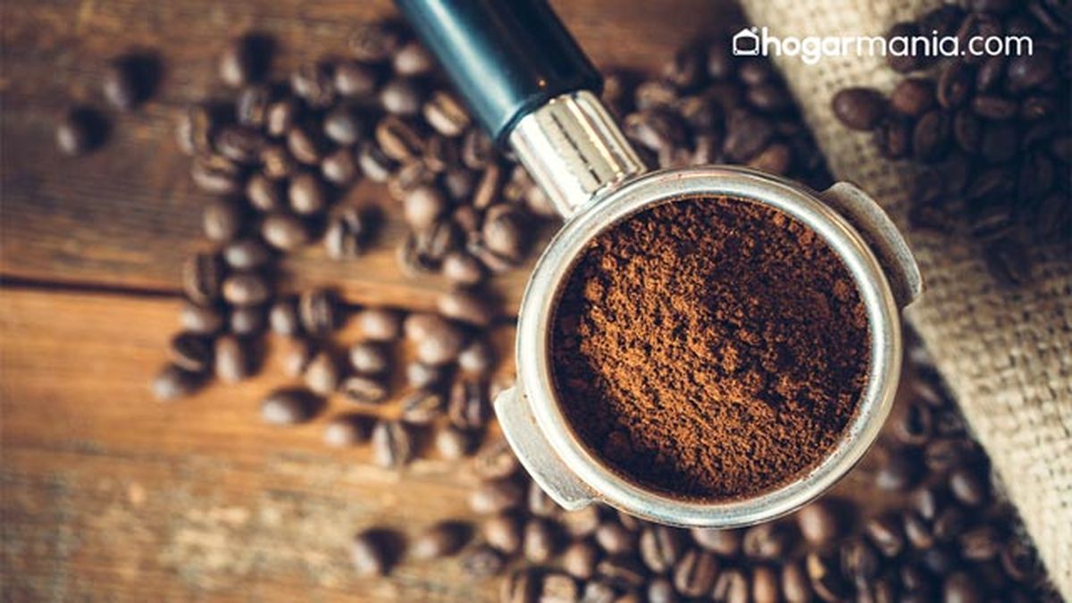 como quitar el olor a tabaco de casa