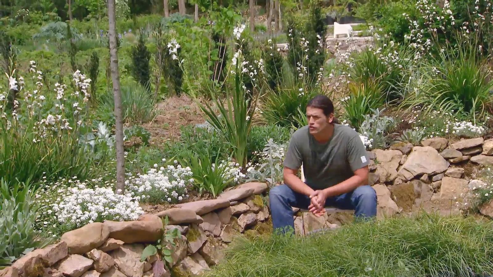 deco 619 plantas de flores blancas para el jardin xl