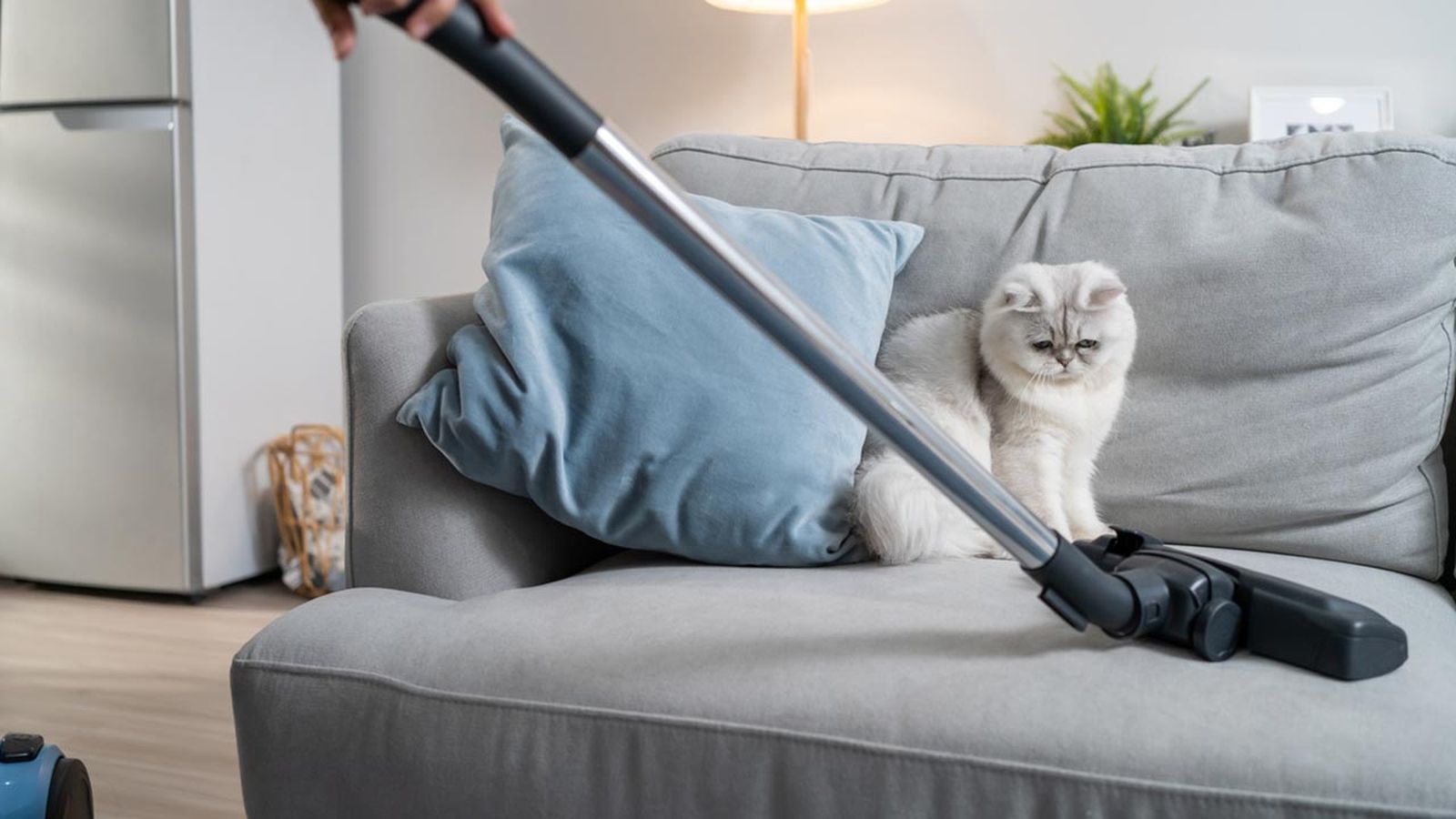 kit de limpieza para mascotas