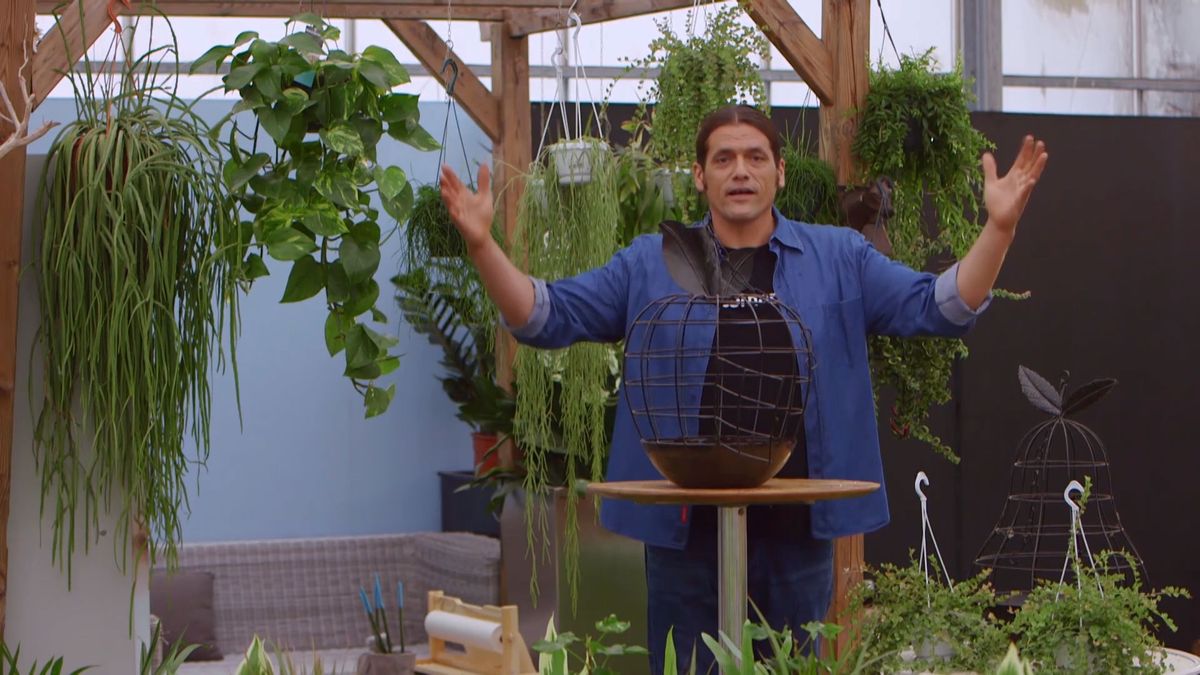 brico 932 3 cestos colgantes plantas poca tierra inicio