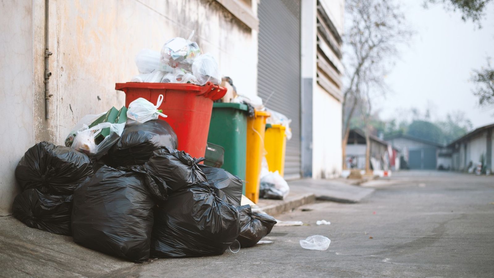 pueden multarme por tirar mal la basura consulta legalitas
