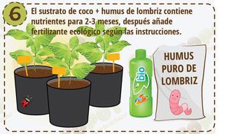 Siembre directa 6