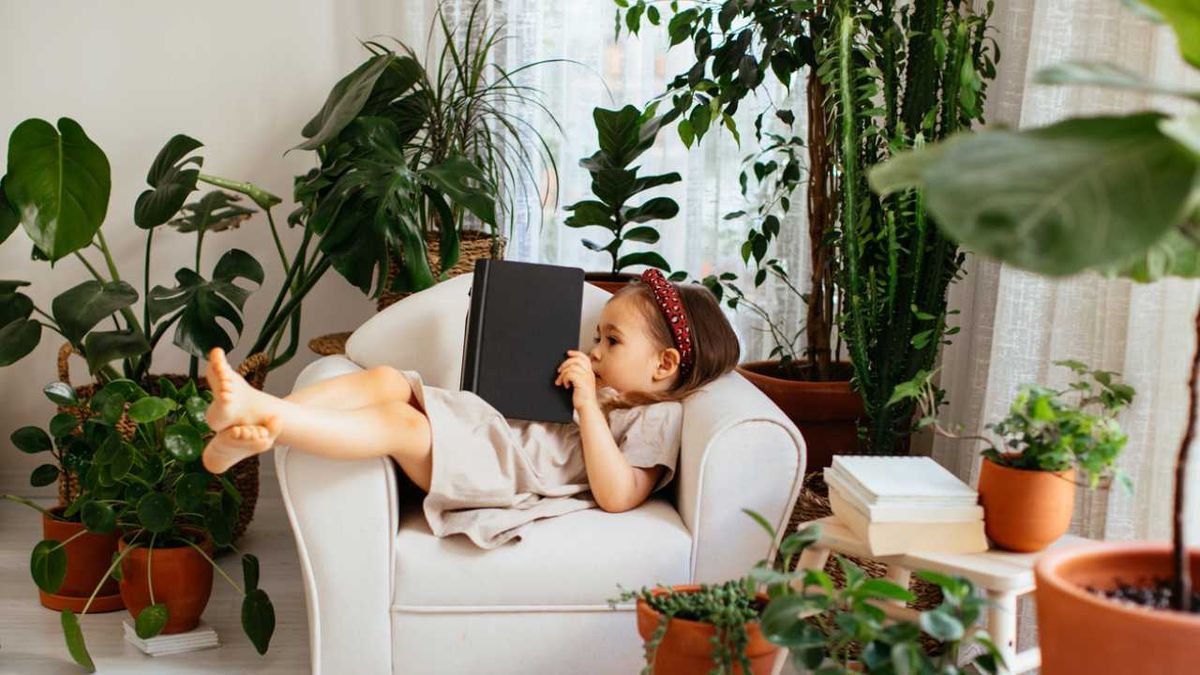 libros de otono para ninos