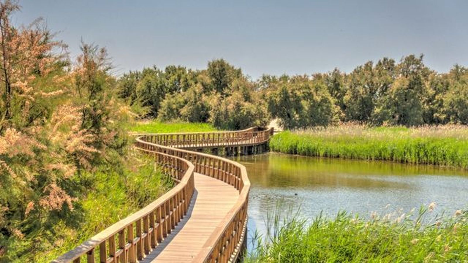tablas de daimiel