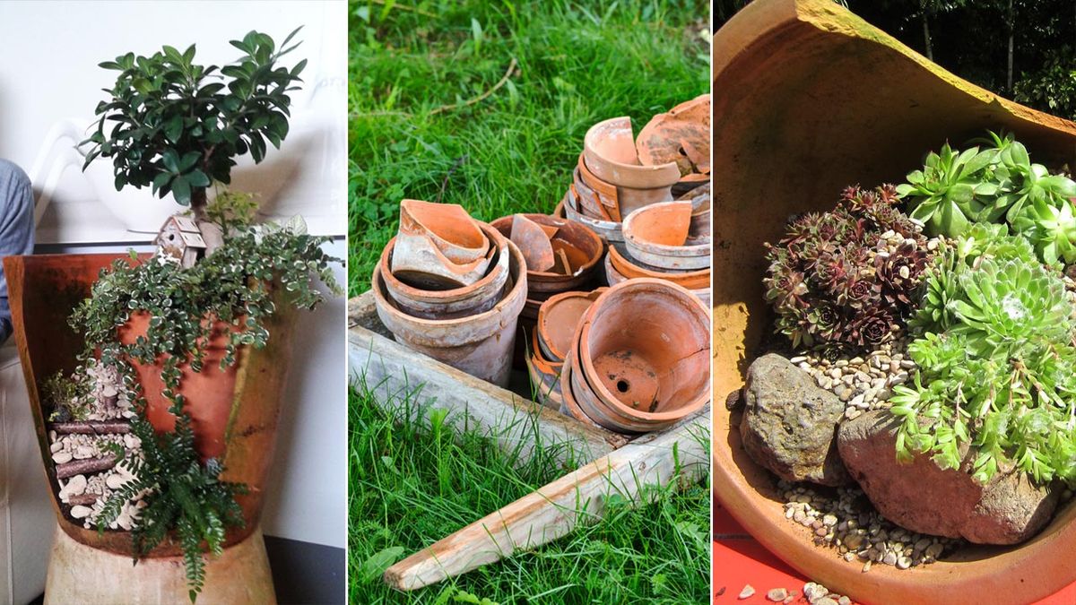 composiciones tiestos rotos xl