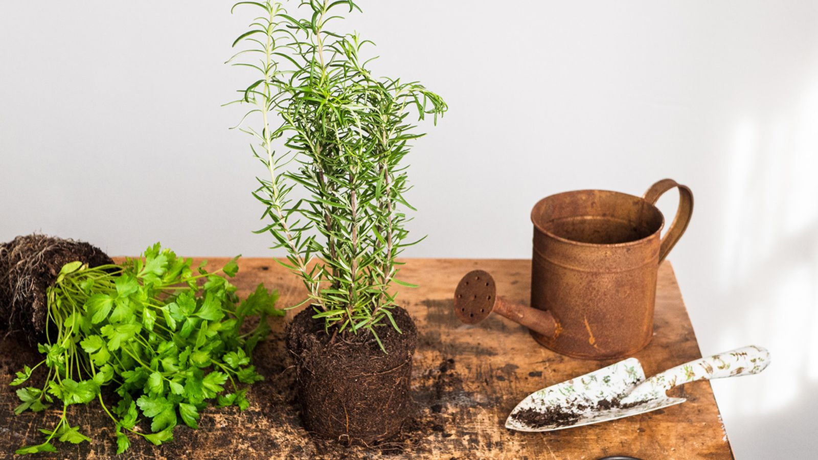 tareas jardineria marzo