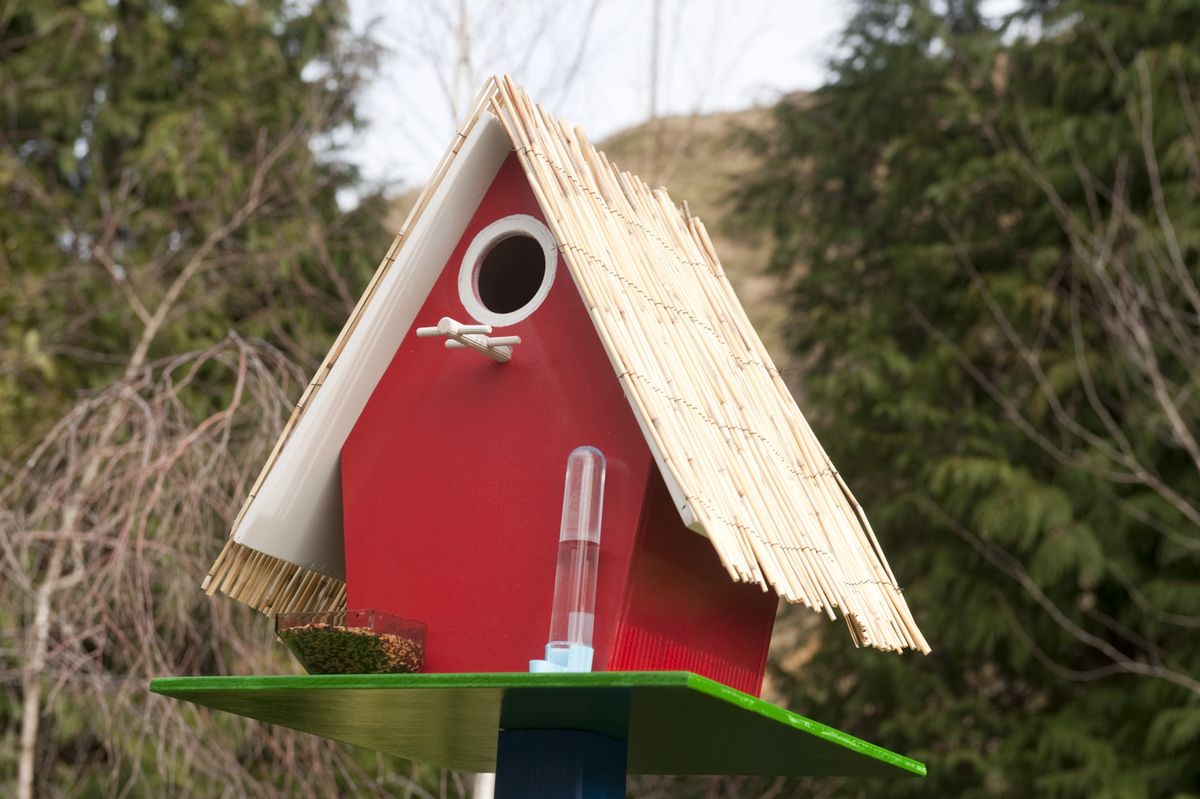 brico 0605 caseta nido xl