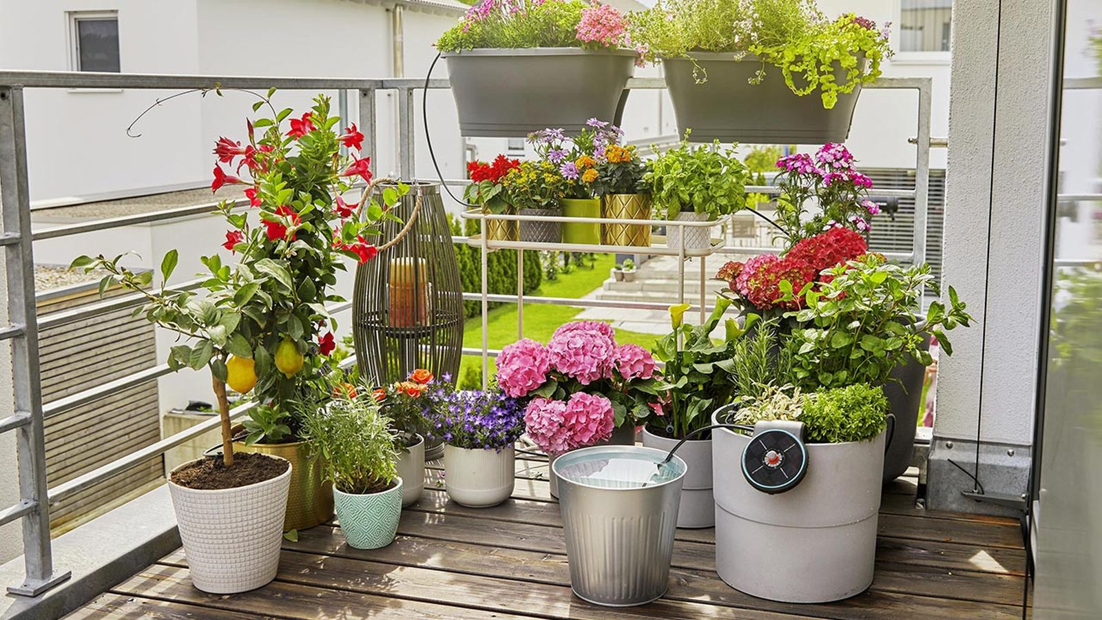 consigue el riego perfecto para las plantas con energia solar