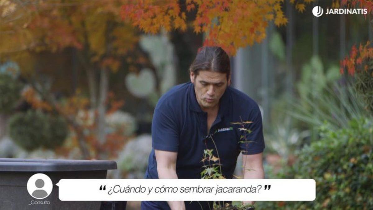 La mejor época para sembraras suele ser la primavera