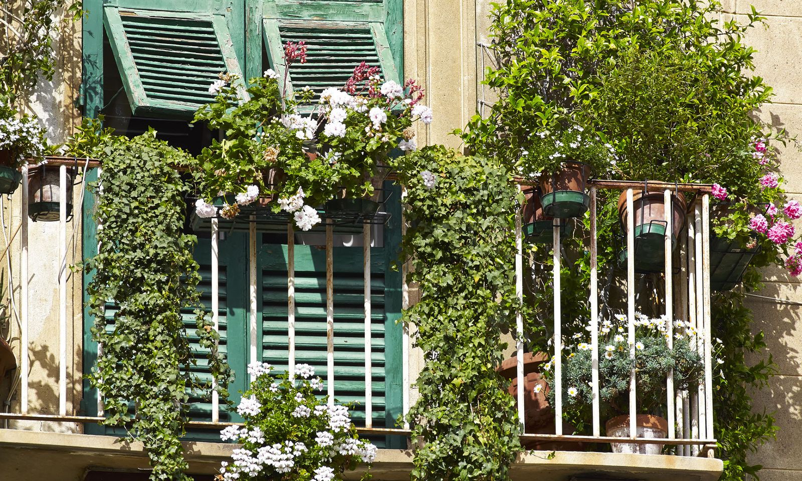 SEGUROLAFB Que plantar balcon sur sol