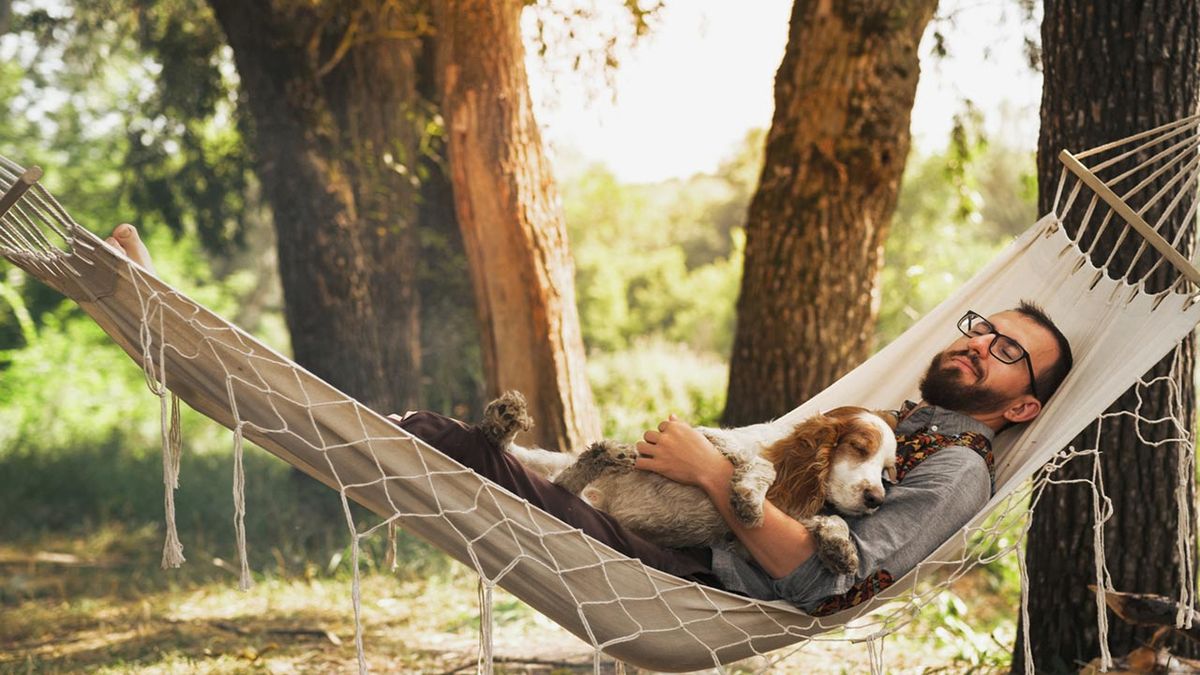 perros que no ladran