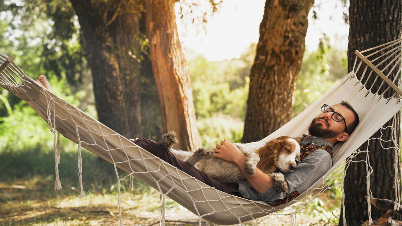 perros que no ladran