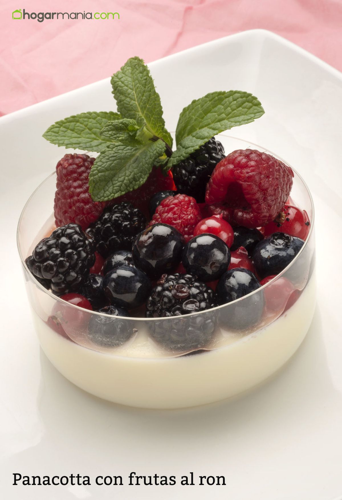 HCTU0347 2 Panacotta con frutas al ron vertical xl