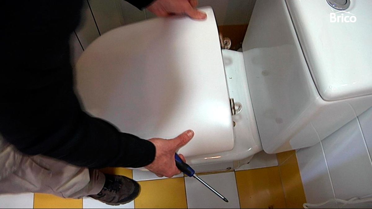 Sustituir bisagras de la tapa del wc paso 2