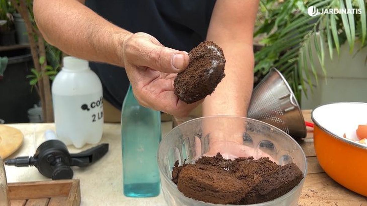 como no usar el cafe jardinatis 55