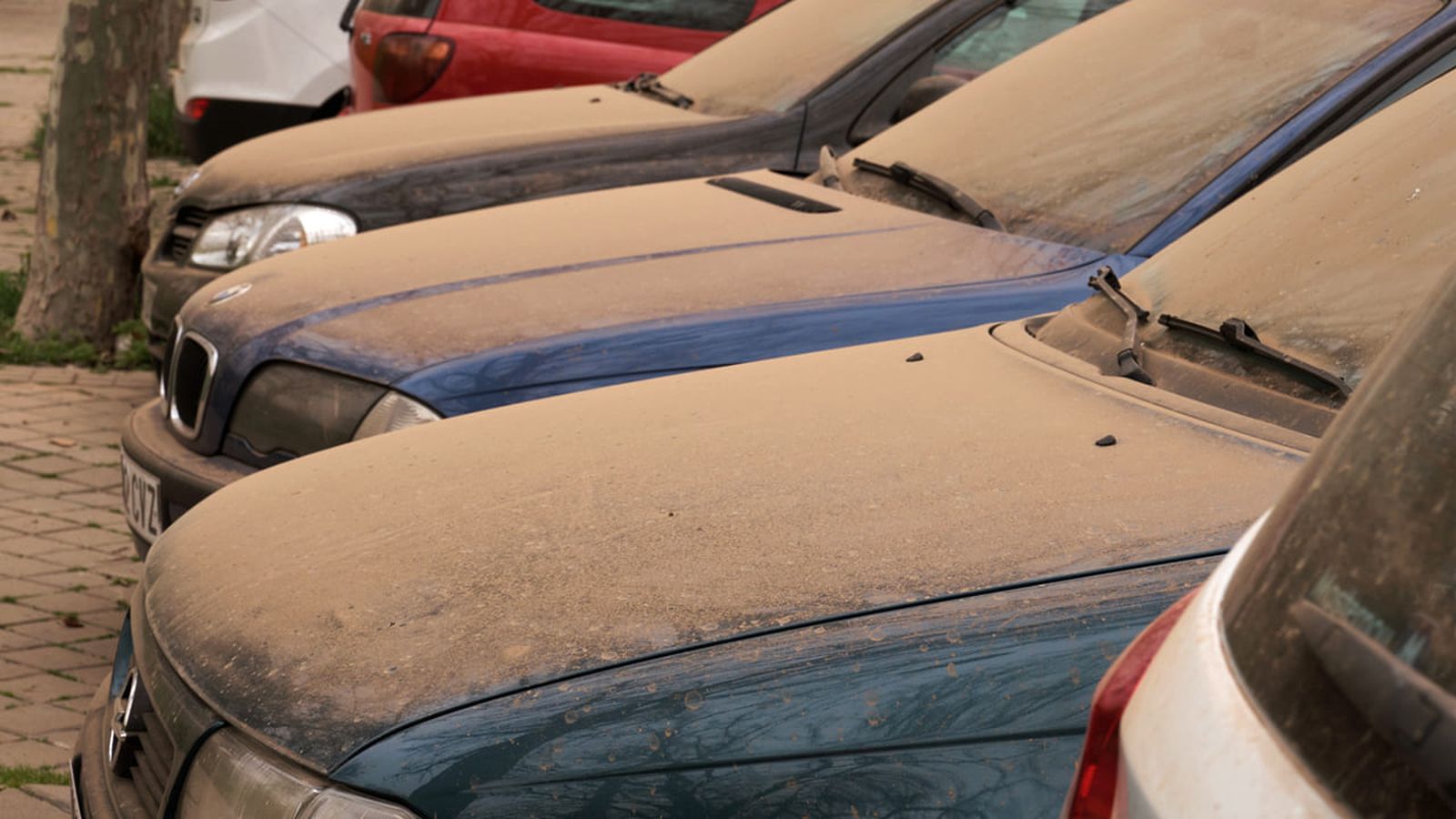 limpiar coche arena xl