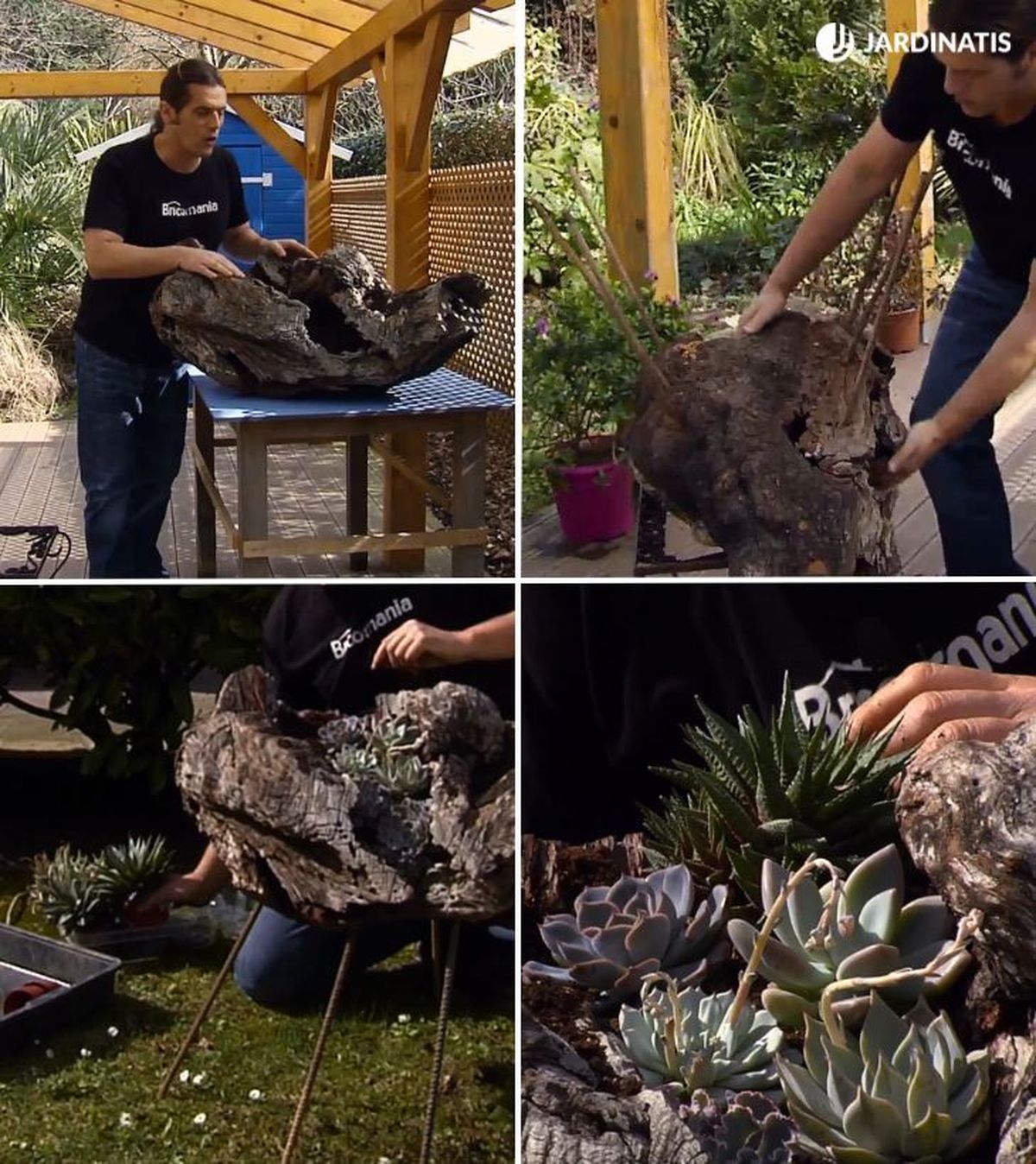 escultura jardin suculentas brico 867