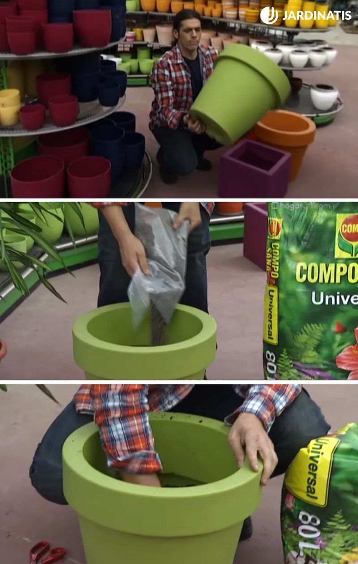 Paso a paso del trasplante a otro contenedor