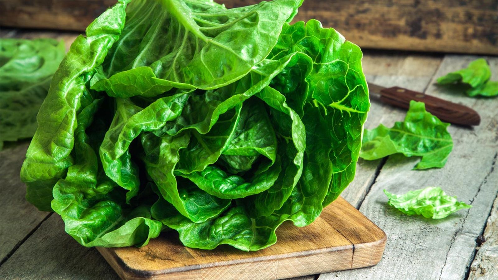 Cómo conservar la lechuga en la nevera