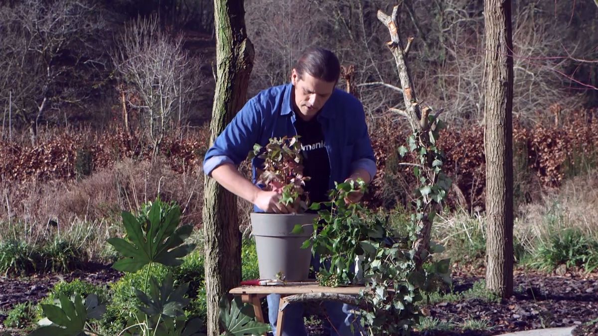 brico 940 3 fatsedera reproduccion