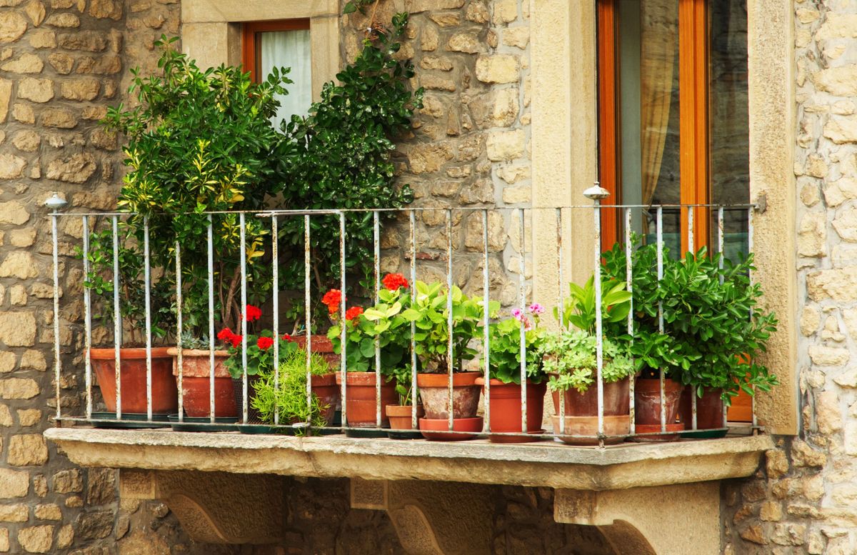 balcon flores otono xl