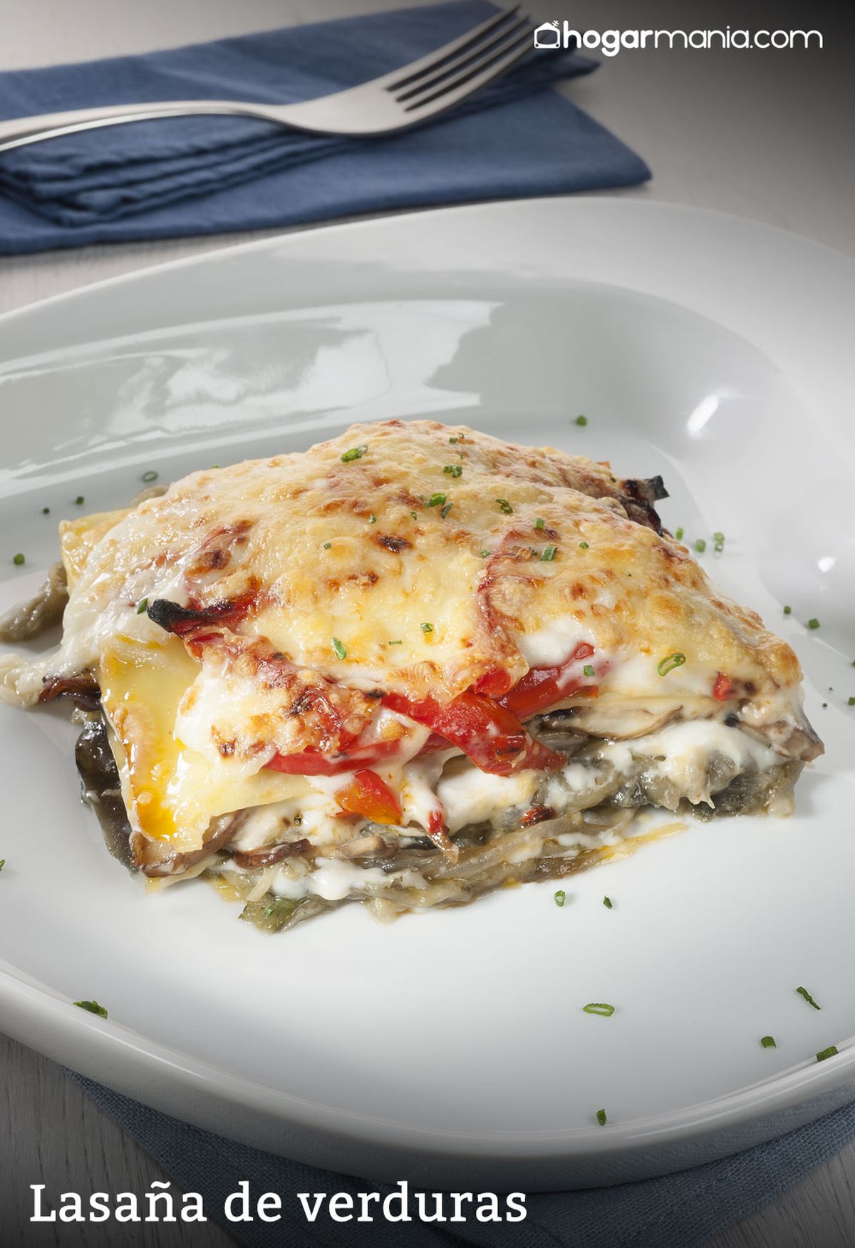 CABI0030 Amaia Lasaña de verduras vertical xl