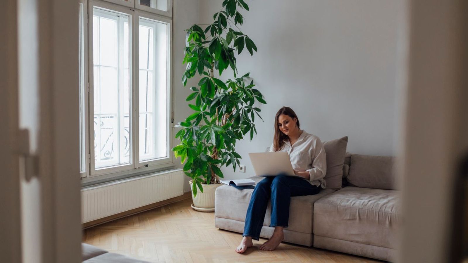 la energia de las plantas segun el feng shui