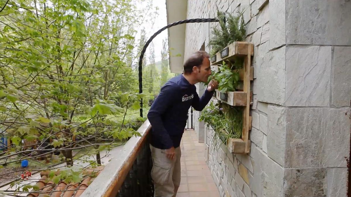 brico 957 huerto aromaticas