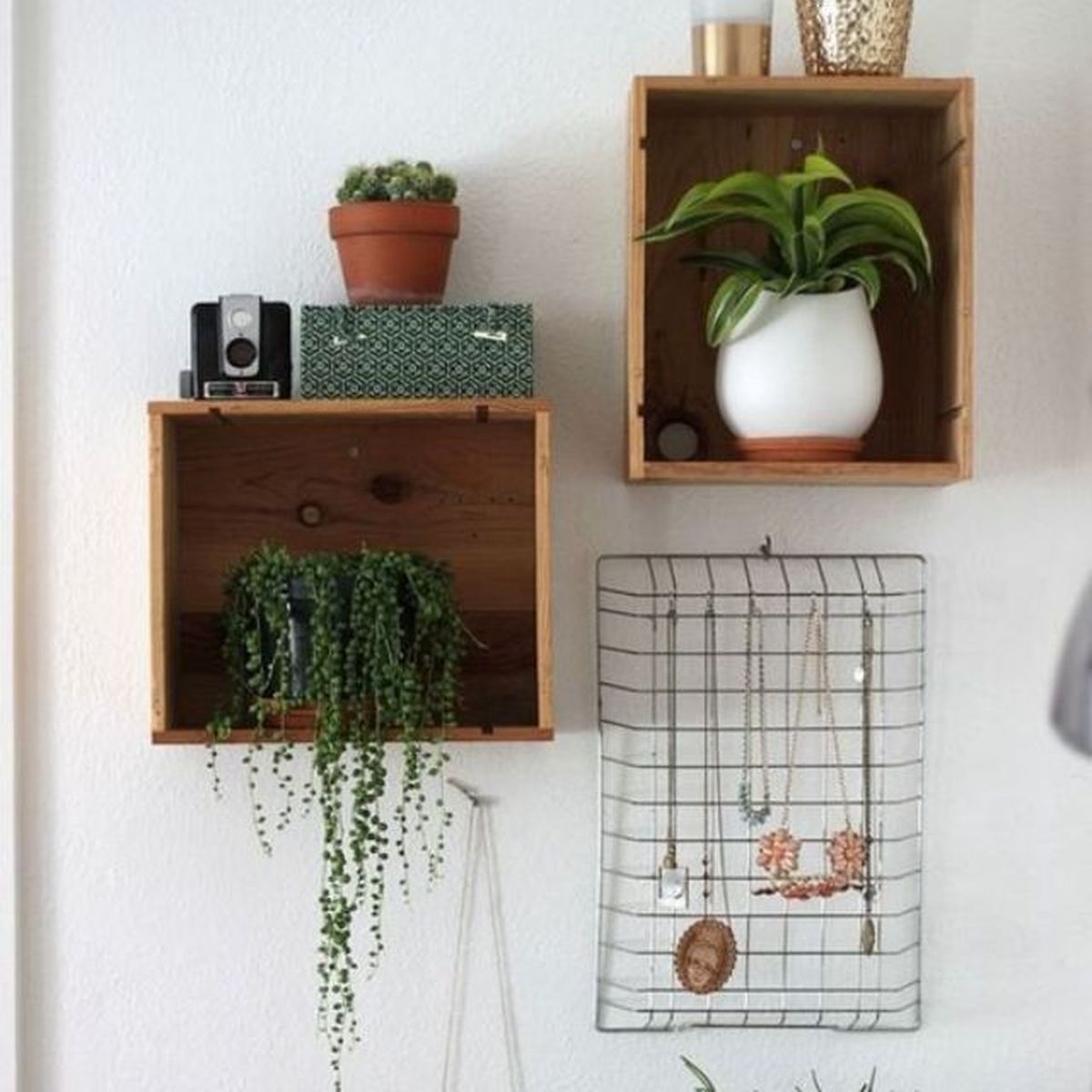 caja de vino estanteria plantas