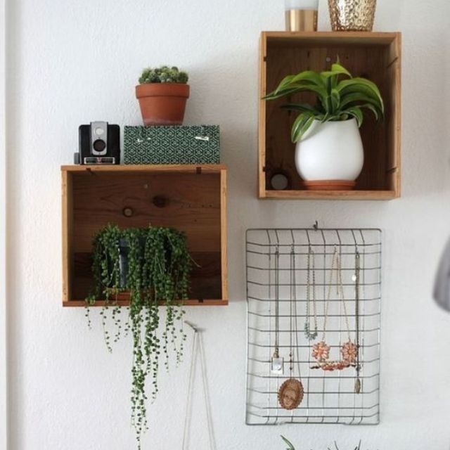 caja de vino estanteria plantas