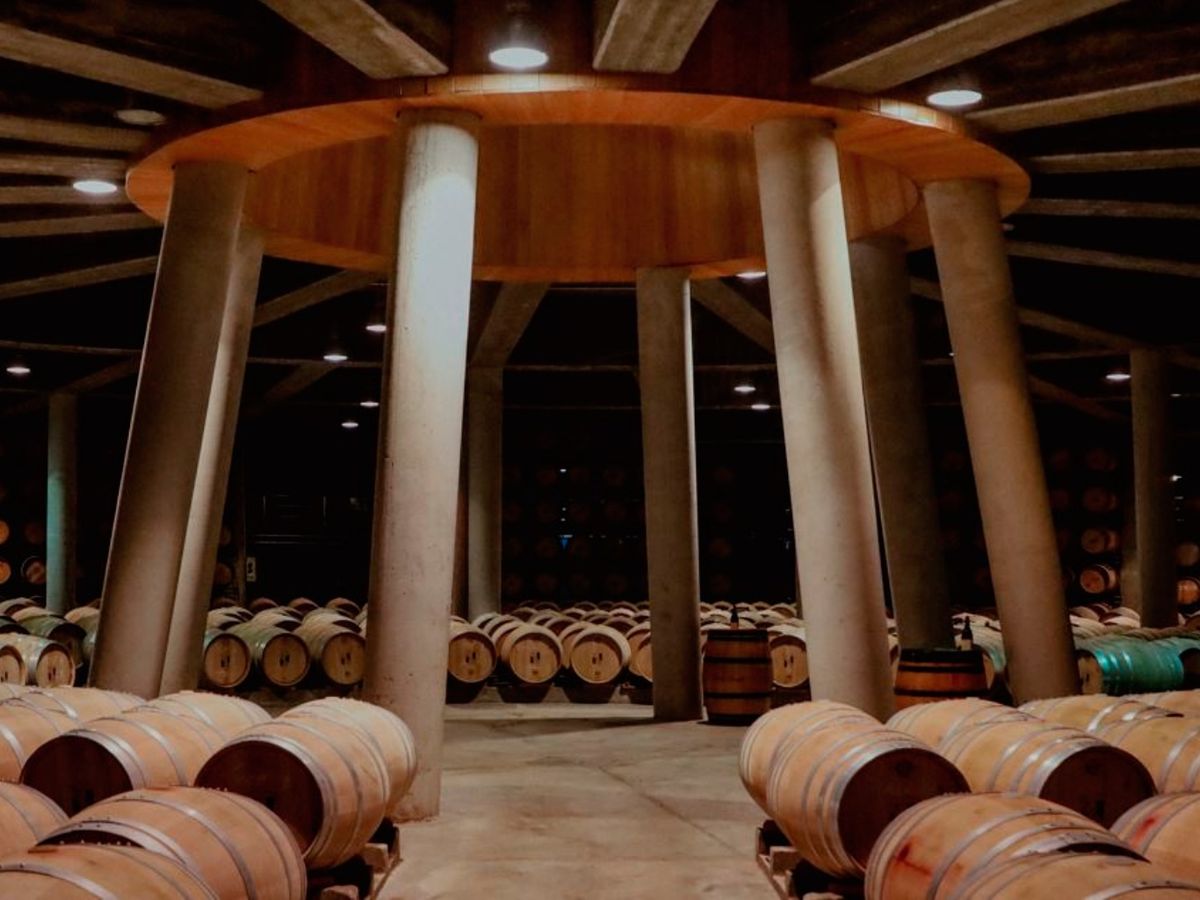 La bodega Viña Real, diseñada por Philippe Maziéres