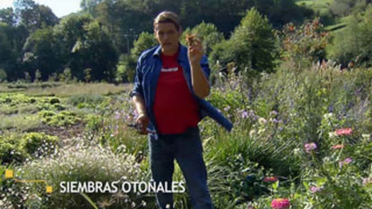 BRICO_JARDIN_883_Siembras con semillas otoñales paso 1