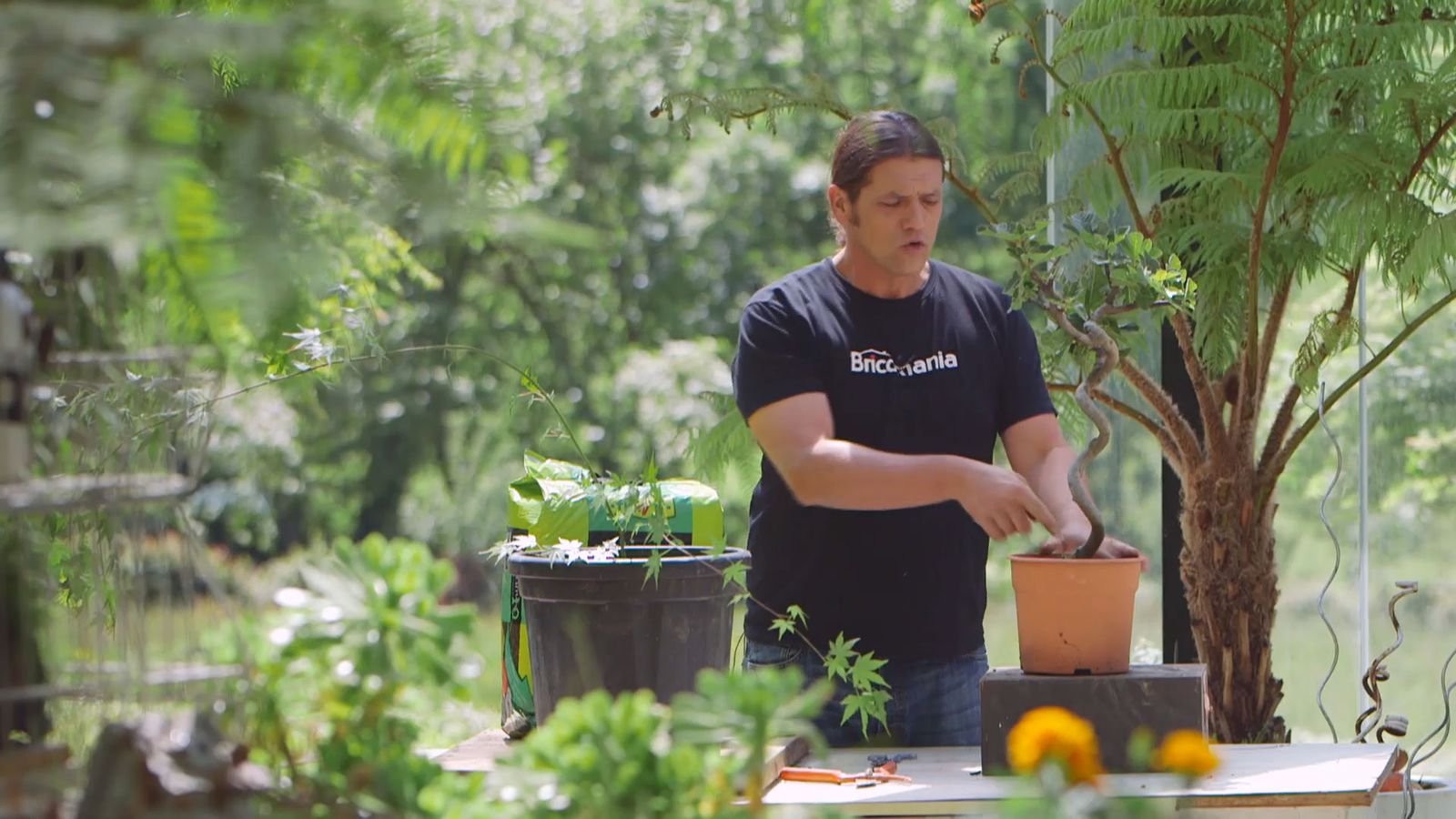 brico 915 3 tronco espiral xl